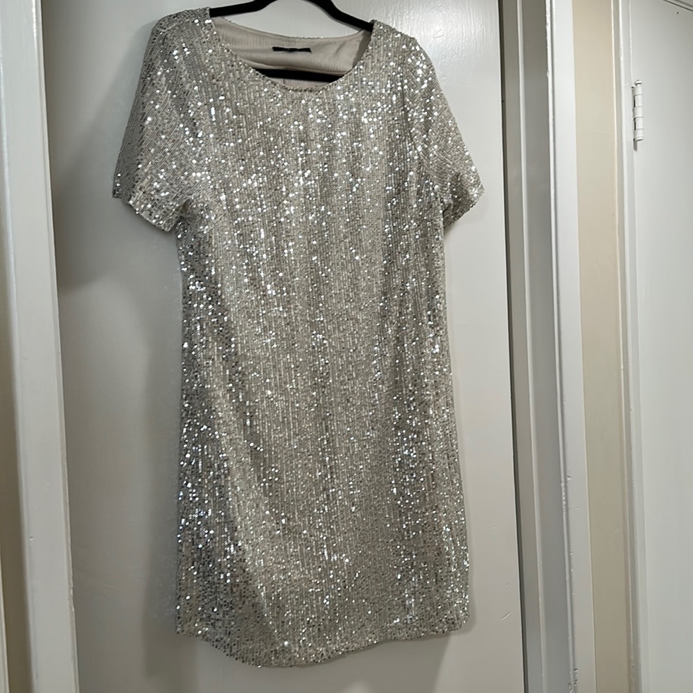 Seven for all Mankind Sequin Mini
